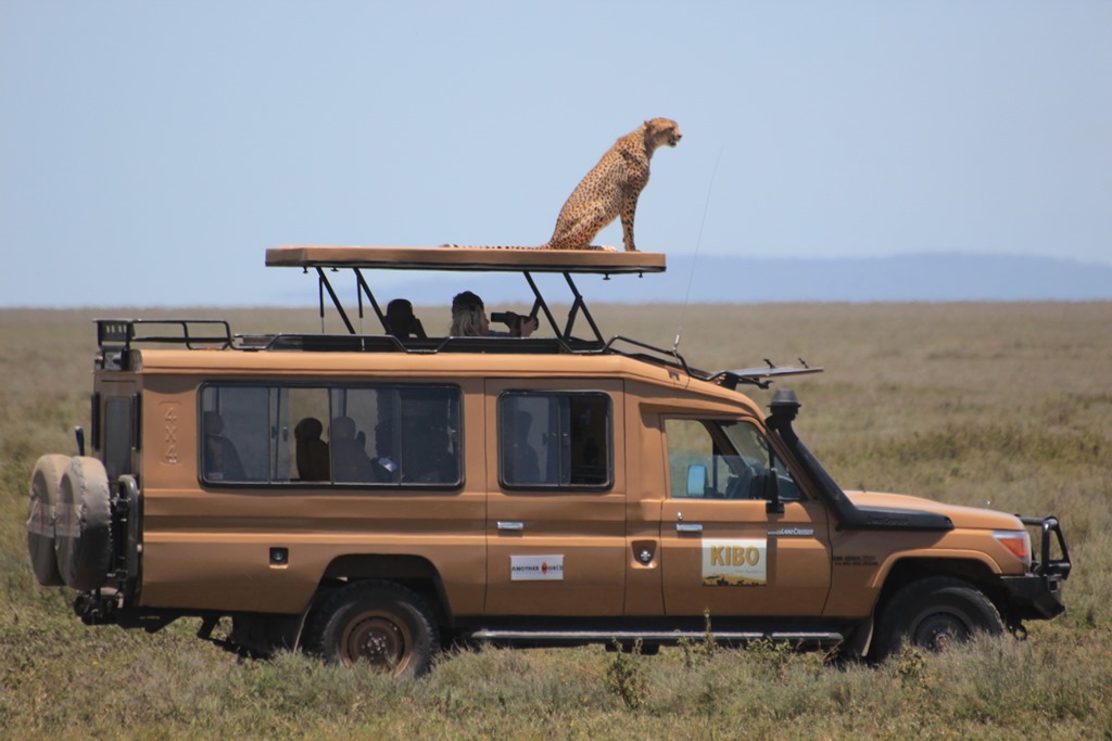 Ngorongoro Park Day 2 039