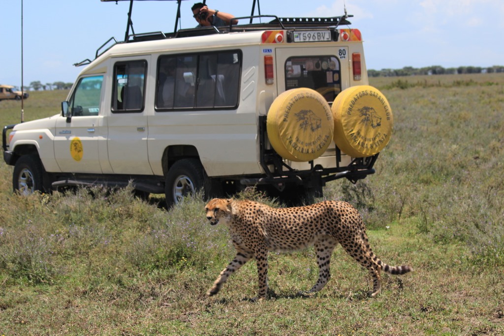 Ngorongoro Park Day 2 048