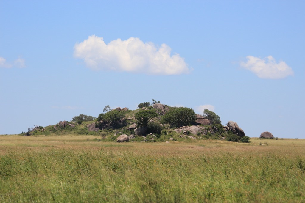 Serengeti 033