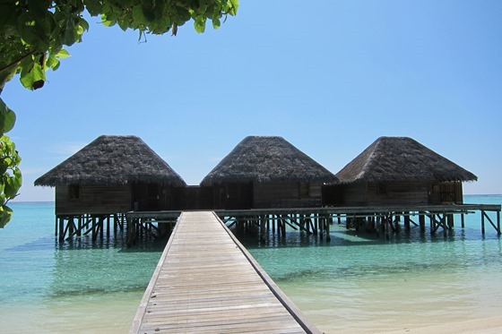 Maldives 271