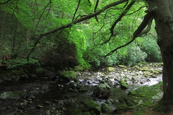 Tollymore and Castle Ward 08