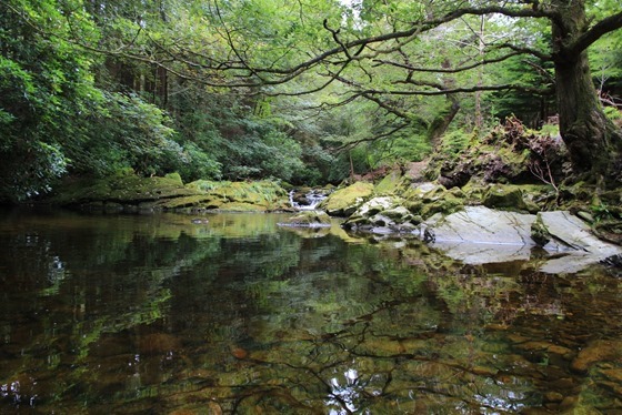 Tollymore and Castle Ward 10