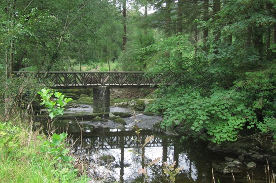 Tollymore and Castle Ward 11