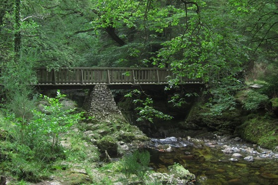 Tollymore and Castle Ward 12